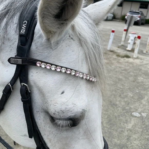 PS of Sweden cherry blossom Pink Crystal browband size 4 (XFull) - Picture 8 of 8